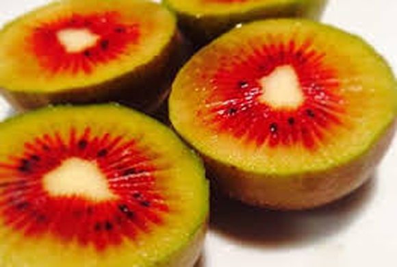 تصویر 1 از قیمت کیوی هایوارد قرمز + خرید باور نکردنی